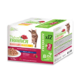 nt cat um pollo/salm 12pz 85g