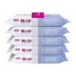 hipp salviettine detergenti&delicate 5x48 pezzi