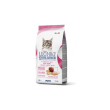 lechat exc kitten