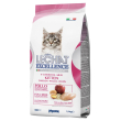 lechat exc kitten