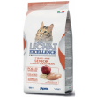 lechat exc senior pol