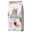 lechat exc senior pol