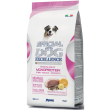 special dog exc m ad mai pa mp