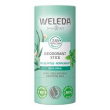 deo stick eucalyptus+peppermin