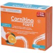 sanavita carnitina forte bustine 49 g polvere per soluzione orale