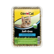 gimcat soft gras - erba gatto extra soft 100 gr