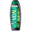 vidal - doccia shampoo menta e ginkgo
