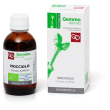 nocciolo gd 50ml bio