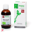nocciolo macerato glicerico 50 ml bio