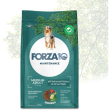 maintenance medium adult medium al cervo e patate - alimento completo per cani 12 kg