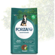 maintenance maxi adult al cervo e patate - alimento completo per cani 12 kg