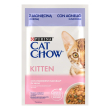 cat chow kit agn zucch 85g