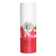 r&g profumo solido gingembre24