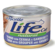 life cat le ricette tonno con cernia e gamberetti