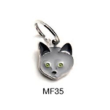 my family friends gatto certosino mf35