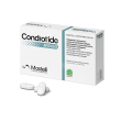 condrotide moveo 20cpr div