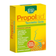 propolgola 30 tav.zenzero