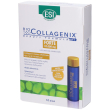 esi biocollagenix forte flaconcini gusto mango 300 ml soluzione orale