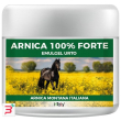 arnica 100% forte 150 ml