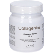 collagenina integratore 240 g polvere per soluzione orale