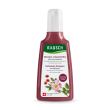 rausch shampoo colorprotettivo alla rosa selvatica 200 ml