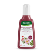 rausch shampoo colorprotettivo alla rosa selvatica 200 ml