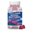 dynamica anxia rip.nott.60gomm
