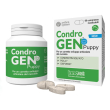 condrogen puppy, 60 compresse masticabili