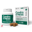 condrostress mobility 60 soft chews