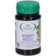 l'angelica drenante anticell compresse 24 g