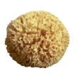 ca-mi spugna arcipelago 14cm