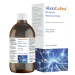 visiocolina soluzione orale 50mg/ml