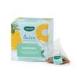 neavita twice tisana sgonfiante a freddo con finocchio e zenzero – 15 filtroscrigno