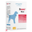 dinamic medium 20 stick da 10 g