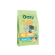 original formula puppy & junior medium - large al pollo - alimento completo per cuccioli di taglia m