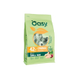 original formula adult small - mini al pollo - alimento completo per cani adulti di taglia piccola 8