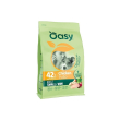 original formula adult small - mini al pollo - alimento completo per cani adulti di taglia piccola 6