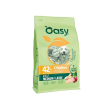 original formula adult medium-large al pollo - alimento completo per cani adulti di taglia media e g