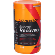 namedsport energy recovery polvere solubile gusto anguria - risparmia