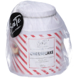 saite cheesecake miscela infusionale 100 g tè