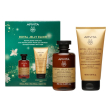apivita cofanetto regalo royal jelly elixir - shampoo rivitalizzante 250 ml + balsamo rimpolpante 15