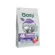 monoprotein formula cane adult cinghiale - alimento completo per cani adulti di taglia media e grand