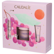 resveratrol lift cashmere cofanetto con crema + siero liftant