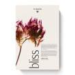dr. hauschka cofanetto regalo bliss - calendario dell'avvento 2026