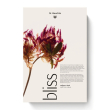 calendario dell'avvento dr. hauschka bliss 2026