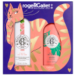 roger & gallet set natale fleur de figuier acqua profumata 100 ml + latte corpo 250 ml