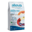 alleva equilibrium dog sensitive ocean fish puppy all breeds kg 2 - p6004