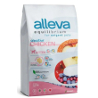 alleva equilibrium cat kitten chicken kg 5 - p62014