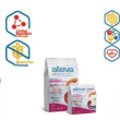 alleva equilibrium cat adult sensitive rabbit kg 10 - p61046