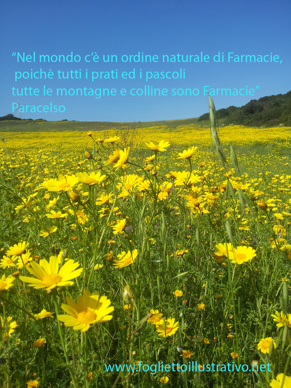 La Medicina Naturale Alla Portata Di Tutti Ebook
